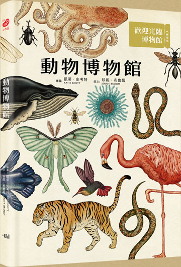 書封
